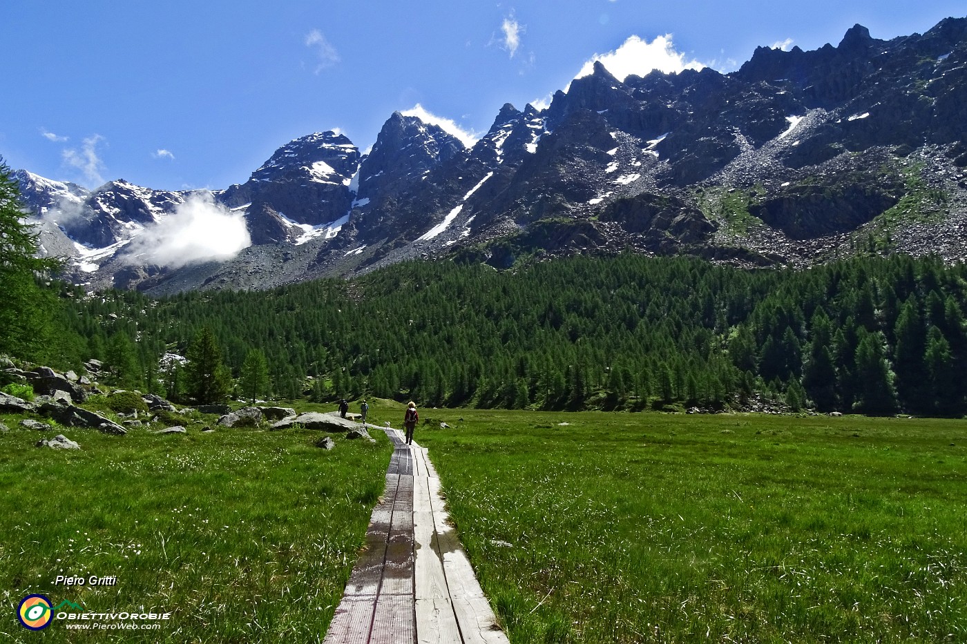 19 Lunghe passerelle sulle torbiere.JPG -                                